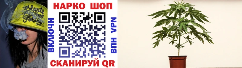 Купить наркотики сайты Тында Альфа ПВП  МЕФ  ГАШ  блэк спрут ссылка  Кокаин  Марихуана 