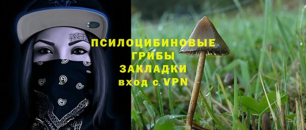 СК Кукмор