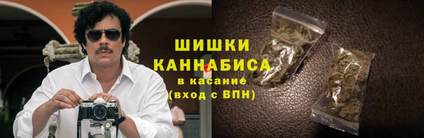 спайс Корсаков