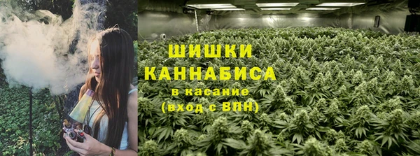 ПСИЛОЦИБИНОВЫЕ ГРИБЫ Куйбышев