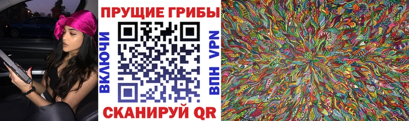 Псилоцибиновые грибы прущие грибы наркота Тында