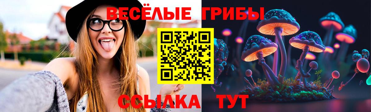 Галлюциногенные грибы ЛСД  Тында  Галлюциногенные грибы GOLDEN TEACHER 